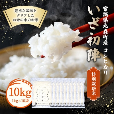 令和6年産 食味値85以上 整粒歩合80%以上のブランド米「いざ初陣」10kg(1kg×10個)