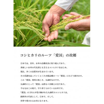 令和4年度|食味値85以上 整粒歩合80%以上のブランド米「いざ初陣」10kg(1kg×10個)