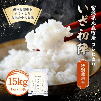 令和6年産 食味値85以上 整粒歩合80%以上のブランド米「いざ初陣」15kg(1kg×15個)