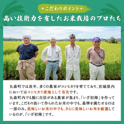 令和6年産 食味値85以上 整粒歩合80%以上のブランド米「いざ初陣」15kg(1kg×15個)