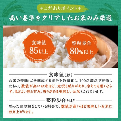 令和6年産 食味値85以上 整粒歩合80%以上のブランド米「いざ初陣」15kg(1kg×15個)