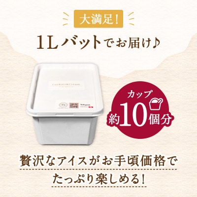 大満足!＼訳ありサイズ/本格イタリアンジェラート　クッキー&クリーム1L(1L×1個)