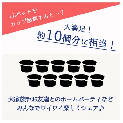 大満足!＼訳ありサイズ/本格イタリアンジェラート ピスタチオ はちみつナッツ 2種セット(各1L)