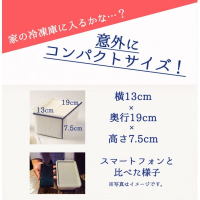 大満足!＼訳ありサイズ/本格イタリアンジェラート ピスタチオ はちみつナッツ 2種セット(各1L)