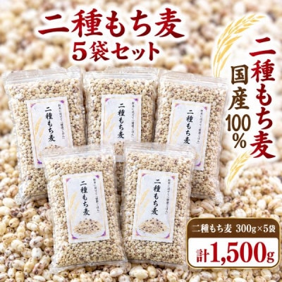 二種もち麦　(300g)×5袋セット