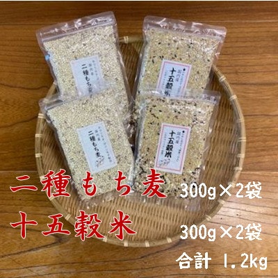 二種もち麦(2個)・十五穀米(2個)合計4個セット