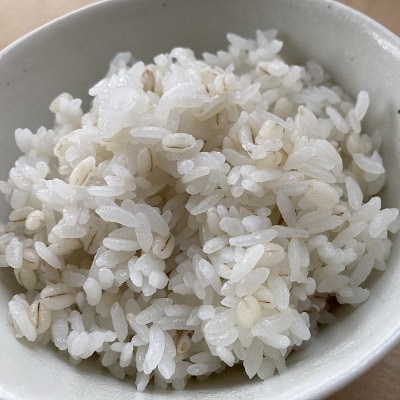 二種もち麦(2個)・十五穀米(2個)合計4個セット