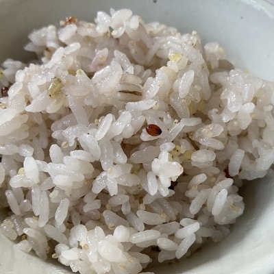 二種もち麦(2個)・十五穀米(2個)合計4個セット