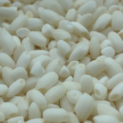 国産もち米100%使用!　米のこくまん自家製手作り「切り餅」(白餅・10切入)×4袋セット