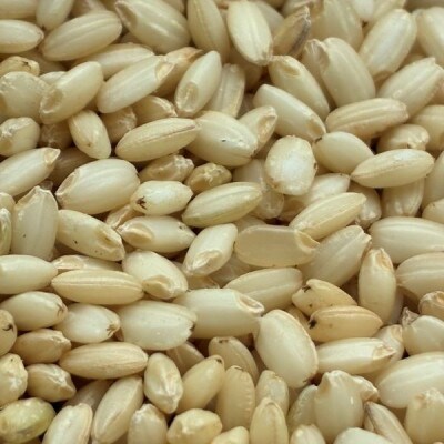 国産もち米100%使用!　米のこくまん自家製手作り「切り餅」(玄米餅・10切入)×4袋セット