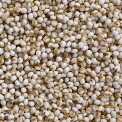 【季節限定品・寒もち】国産100%!切り餅(あわ餅・10切入)×4袋セット