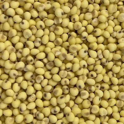 【季節限定品・寒もち】国産100%!切り餅(きび餅・10切入)×4袋セット