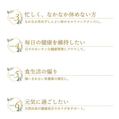 超臨界抽出プロポリス 1.2g×30包×4本スティック　粉タイプ　エクストラ・グリーンプロポリス使用