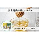国産野山みつ×りんごみつ ギフトセット