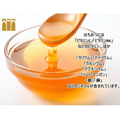 富士見養蜂園の国産天然100%百花はちみつギフトセット　120g×2本