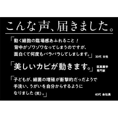 ブックデザイン賞受賞!「ぱらぱらミクロ」3冊セット【好中球の貪食】【細菌の増殖】【パンに生えたカビ】