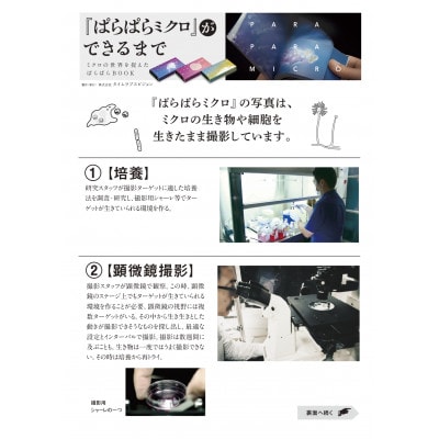 ブックデザイン賞受賞!「ぱらぱらミクロ」3冊セット【好中球の貪食】【細菌の増殖】【パンに生えたカビ】