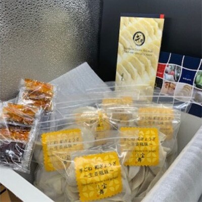 【毎月定期便】手ごね和ぎょうざ生姜風味18個入り×6袋全12回