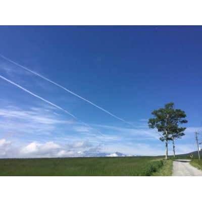 志木市立八ケ岳自然の家のペア宿泊券(2食付き)