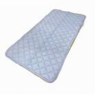 「琵琶湖の敷パット」シングル ブルー