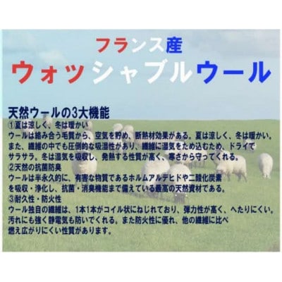 「ウォッシャブルウールベッドパット」セミダブル