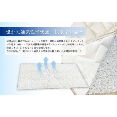 全部洗える制菌敷布団「犬鷲」シングル