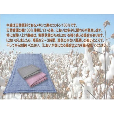 「琵琶湖の肌ふとん」シングル　ブルー