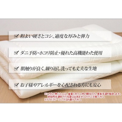 アラエマックス　ウォシュロン洗える敷布団　ロフト/2段ベッド用　硬質・中綿増量(araj-0055)