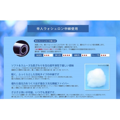 アラエマックス 洗える枕 ウォシュロン 35×50cm(makuraj-0121)