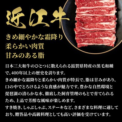 【和牛セレブ】近江牛 すき焼き&しゃぶしゃぶセット【肩ロース】750g
