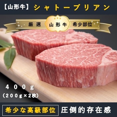 【山形牛　厳選希少部位】シャトーブリアン400g×ザブトンステーキ400gセット 