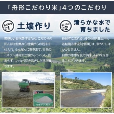 【無洗米】はえぬき10kg(5kg×2袋)　令和6年産米