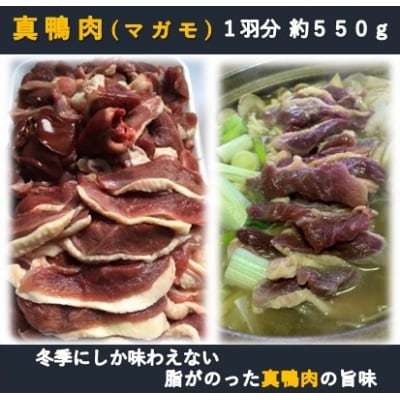 【鴨ガラ有】　真鴨肉1羽分　約550g　数量限定