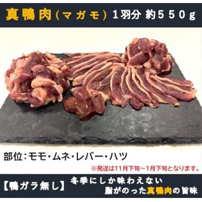 【鴨ガラ無】　真鴨肉1羽分　約550g　数量限定