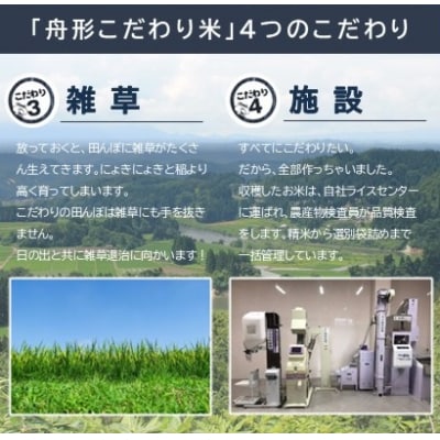 【無洗米】雪若丸10kg(5kg×2袋)　令和7年産米