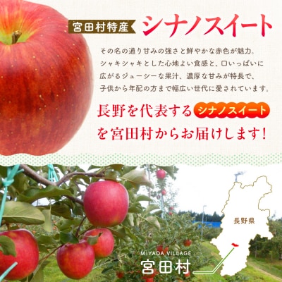 【先行受付】季節のりんご『シナノスイート』(5kg)