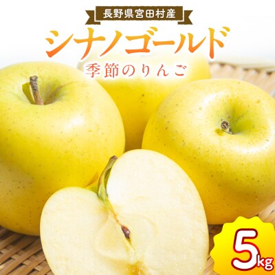 【先行受付】季節のりんご『シナノゴールド』(5kg)
