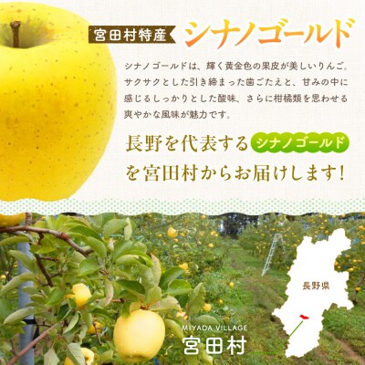 【先行受付】季節のりんご『シナノゴールド』(5kg)
