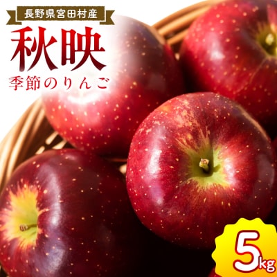 【先行受付】季節のりんご『秋映』(5kg)