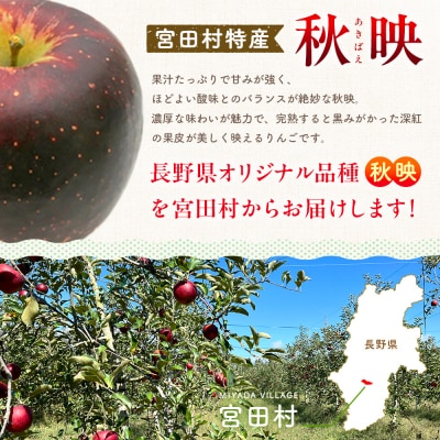 【先行受付】季節のりんご『秋映』(5kg)