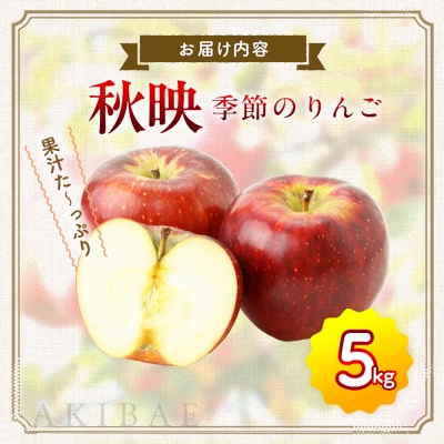 【先行受付】季節のりんご『秋映』(5kg)
