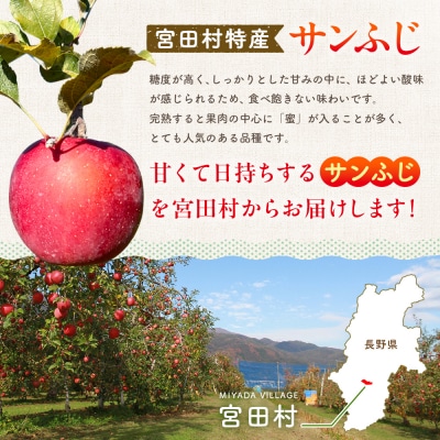 【先行受付】サンふじリンゴ(10kg)