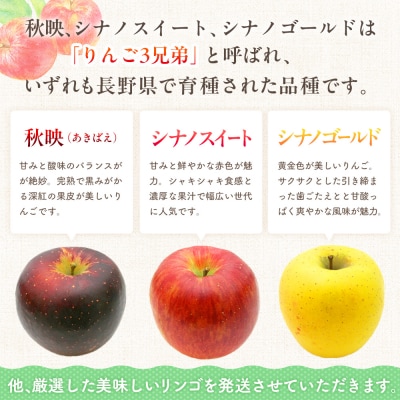 【先行受付】季節のりんご『お任せコース』(5kg)