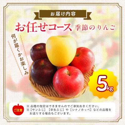 【先行受付】季節のりんご『お任せコース』(5kg)