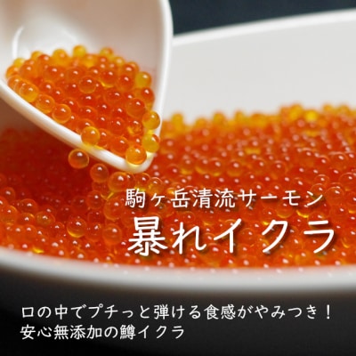 【先行受付】駒ヶ岳清流サーモン「暴れイクラ」300g(生鮮便:冷蔵)