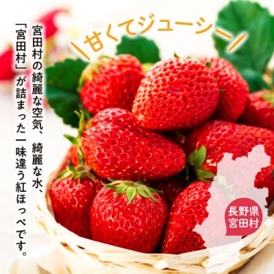 宮田村産　ウエストファームのいちご　紅ほっぺ　約240g×4パック