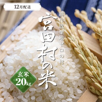【先行受付】【令和5年米】減農薬栽培(栽培期間中)コシヒカリ/玄米/20kg/12月配送