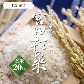【先行受付】【令和5年米】減農薬栽培(栽培期間中)コシヒカリ/玄米/20kg/12月配送