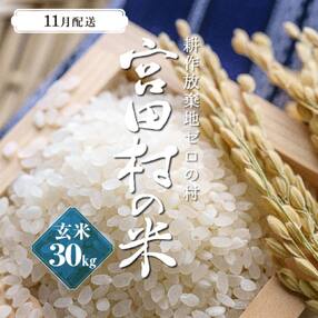 【先行受付】【令和5年米】減農薬栽培(栽培期間中)コシヒカリ/玄米/30kg/11月配送