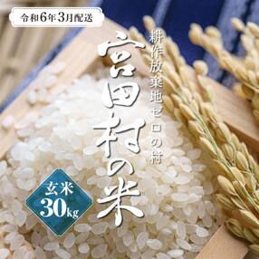 【先行受付】【令和5年米】減農薬栽培(栽培期間中)コシヒカリ/玄米/30kg/令和6年3月配送